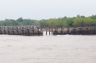 Cà Mau: Khoảng 300 m kè cấp bách bảo vệ bờ biển Đông bị hư hỏng