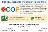 [Infographic] OCOP: Động lực mới phát triển kinh tế nông thôn