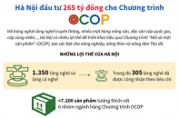 [Infographic] Hà Nội đầu tư 265 tỷ đồng cho Chương trình OCOP