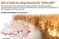 [Infographic] Gần 2 triệu hécta ở rừng Amazon bị thiêu đốt
