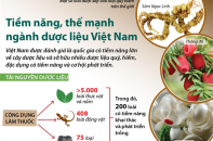 [Infographic] Tiềm năng, thế mạnh ngành dược liệu Việt Nam
