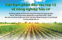 [Infographic] Việt Nam phấn đấu vào Top 15 thế giới về nông nghiệp hữu cơ