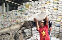 Xuất khẩu gạo ngày càng thêm khó