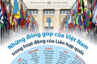 [Infographic] Những đóng góp của Việt Nam trong hoạt động của Liên hợp quốc