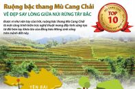 [Infographic] Ruộng bậc thang Mù Cang Chải - vẻ đẹp say lòng giữa núi rừng Tây Bắc