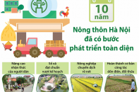 [Infographic] Nông thôn Hà Nội phát triển toàn diện