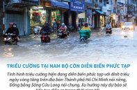 [Infographic] Triều cường tại Nam Bộ còn diễn biến phức tạp