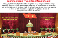 [Infographic] Những nội dung quan trọng của Hội nghị lần thứ 11 Ban Chấp hành Trung ương Đảng khóa XII
