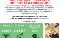 [Infographic] Kinh tế tập thể phi nông nghiệp phát triển cả về lượng và chất