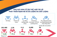 [Infographic] Khu vực kinh tế tập thể, hợp tác xã phát triển mạnh mẽ về số lượng và chất lượng