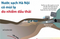[Infographic] Nước sạch Hà Nội có mùi lạ do nhiễm dầu thải