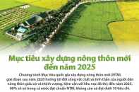 [Infographic] Mục tiêu xây dựng nông thôn mới đến năm 2025