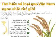 [Infographic] Gạo ST24 của Việt Nam - Gạo ngon nhất thế giới năm 2019