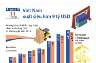 [Infographic] 11 tháng, Việt Nam xuất siêu hơn 9 tỷ USD