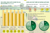 [Infographic] Nâng cao giá trị hạt gạo Việt Nam