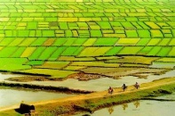 Chuyển đổi 17,9 ha đất trồng lúa sang đất phi nông nghiệp