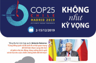 [Infographic] COP25 không như kỳ vọng