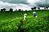 Sản xuất sạch hơn phải được xem là chiến lược liên tục tại mỗi doanh nghiệp
