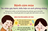 [Infographic] Bệnh cúm mùa: Tác nhân gây bệnh, biểu hiện và cách phòng chống