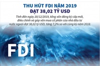 [Infographic] Thu hút FDI năm 2019 đạt 38,02 tỷ USD