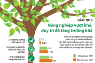 [Infographic] Năm 2019, ngành nông nghiệp duy trì đà tăng trưởng khá