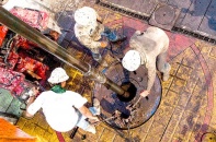 "Vàng đen" có năm tăng giá mạnh