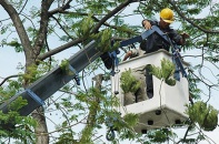 Hồ sơ mời thầu "cài cắm" nhiều điều kiện