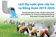 [Infographic] Lịch lấy nước gieo cấy lúa vụ Đông Xuân 2019 - 2020