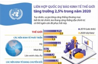 [Infographic] Liên hợp quốc dự báo kinh tế thế giới tăng trưởng 2,5% trong năm 2020