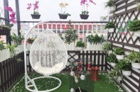 Bóng cây ngang trời!