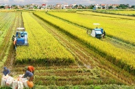 Từ “khoán hộ” đến những đổi mới trong nông nghiệp