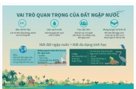 [Infographic] Ngày Đất ngập nước Thế giới 2/2: Vai trò quan trọng của đất ngập nước