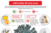 [Infographic] Hiểu đúng về chủng virus Corona mới (2019-nCoV)