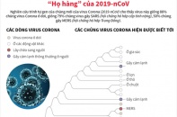 [Infographic] "Họ hàng" của chủng virus Corona mới (2019-nCoV)