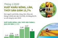[Infographic] Tháng 1/2020, xuất khẩu nông, lâm, thủy sản giảm 15,7%