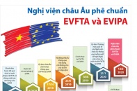 [Infographic] Nghị viện châu Âu phê chuẩn EVFTA và EVIPA