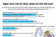 [Infographic] Ngân sách của EU được phân bổ ra sao?