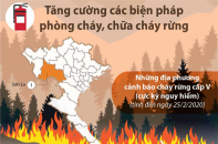 [Infographic] Tăng cường các biện pháp phòng cháy, chữa cháy rừng