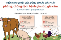 [Infographic] Triển khai quyết liệt, đồng bộ các giải pháp phòng, chống dịch bệnh gia súc, gia cầm