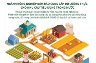 [Infographic] Ngành nông nghiệp đảm bảo cung cấp đủ lương thực cho nhu cầu tiêu dùng trong nước