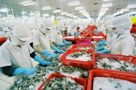 Doanh nghiệp thủy sản tăng xuất khẩu hàng đông lạnh