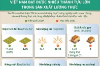 [Infographic] Việt Nam đạt được nhiều thành tựu lớn trong sản xuất lương thực