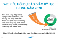 [Infographic] WB: Kiều hối dự báo giảm kỷ lục trong năm 2020