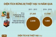 [Infographic] Diện tích rừng bị thiệt hại 10 năm qua là bao nhiêu héc-ta?