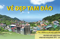 [Infographic] Vẻ đẹp Tam Đảo