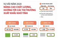 [Infographic] Vụ vải năm 2020: Nâng cao chất lượng, hướng tới các thị trường xuất khẩu khó tính