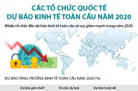 [Infographic] Các tổ chức quốc tế dự báo kinh tế toàn cầu năm 2020