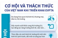 [Infographic] Cơ hội và thách thức của Việt Nam khi triển khai EVFTA