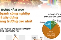 [Infographic] 6 tháng năm 2020, ngành công nghiệp và xây dựng tăng trưởng cao nhất
