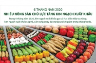 [Infographic] 6 tháng năm 2020, nhiều nông sản chủ lực tăng kim ngạch xuất khẩu